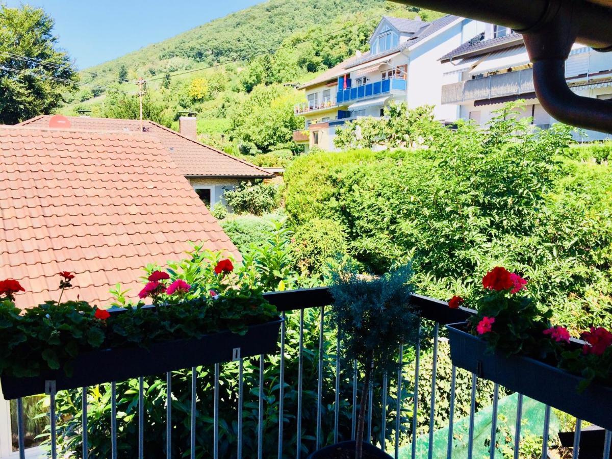 Gaestehaus Kerle Dossenheim Εξωτερικό φωτογραφία